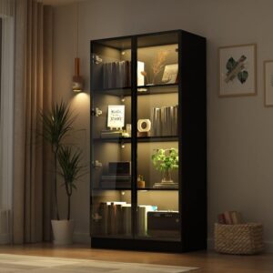 Display Cabinet Glass (Black & Brass)
